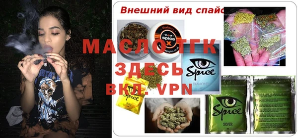 гашик Алексин
