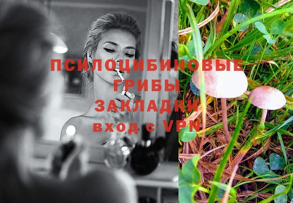 марки lsd Алексеевка