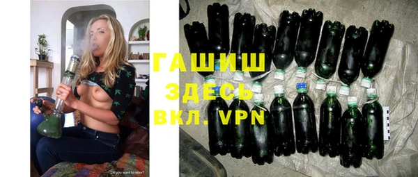 гашик Алексин