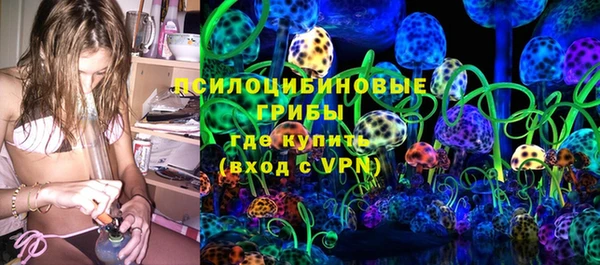 гашик Алексин