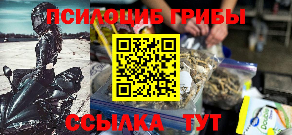 Псилоцибиновые грибы Cubensis Вологда